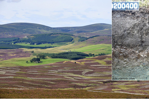 Grouse moorland (.©Lorne Gill/NatureScot) insert peaty gleys (© The James Hutton Institute)