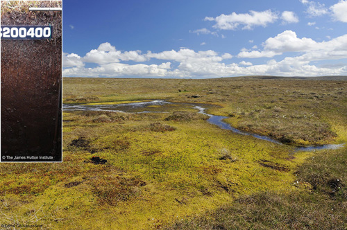 Forsinard Flows National Nature Reserve.©Lorne Gill/SNH (insert peat © The James Hutton Institute)