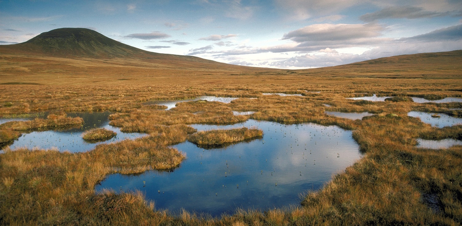 Scotland's soils © S Moore Scottish Natural Heritage