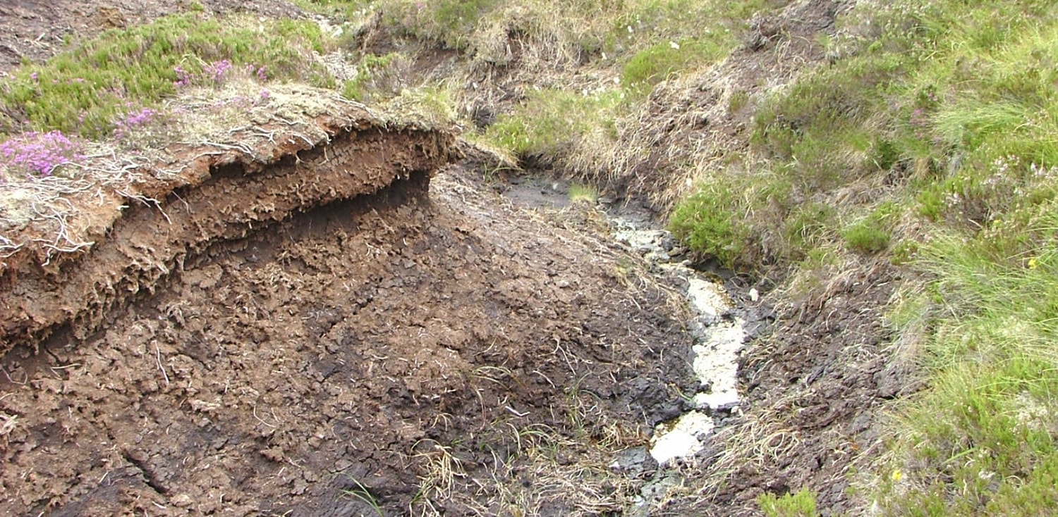 State of Scotland's soils
