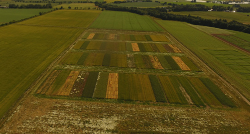 Arable soils – Grieves House Tillage platform ontained via drone imaging at James Hutton Insitute’s experimental farm
