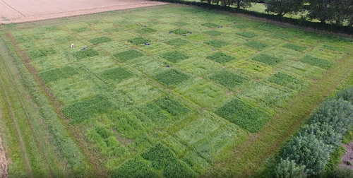 Biodiversity and microbial processes – The James Hutton Institute – Grassland experimental platform Biodiversity and microbial processes – The James Hutton Institute – Grassland experimental platform