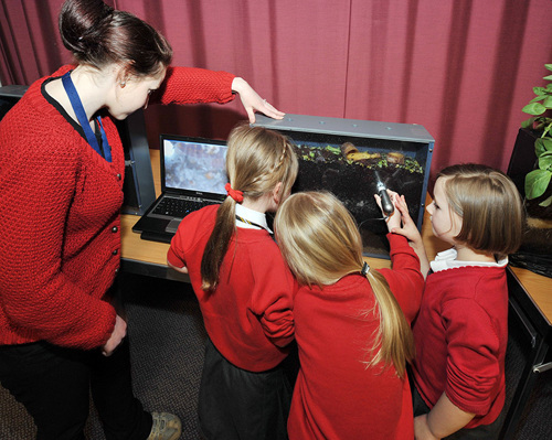 Education - School childrem observe the soil environment in a rhizotron using a magnifying camera Education - School childrem observe the soil environment in a rhizotron using a magnifying camera