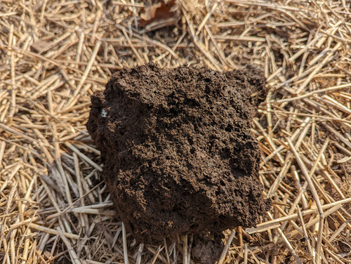 Policy and communication – Aggregate of soil with back-ground of cereal straw
