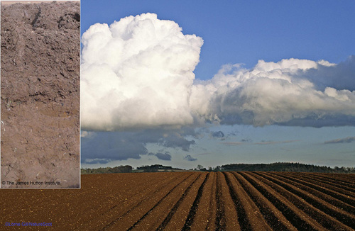 Potato Fields (©Lorne Gill/NatureScot) insert Stagnogley (© The James Hutton Institute)