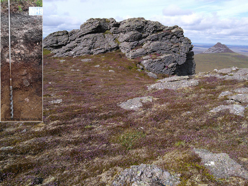 Alpine Heath (© Karen Reid/ NatureScot) insert alpine podzol (© The James Hutton Institute) Alpine Heath (© Karen Reid/ NatureScot) insert alpine podzol (© The James Hutton Institute)
